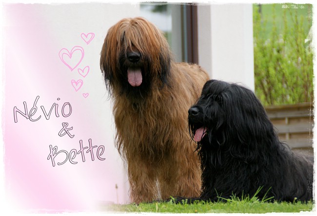 Névio & Bette