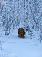 20071228_536.jpg