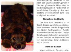 luna_zeitung.jpg