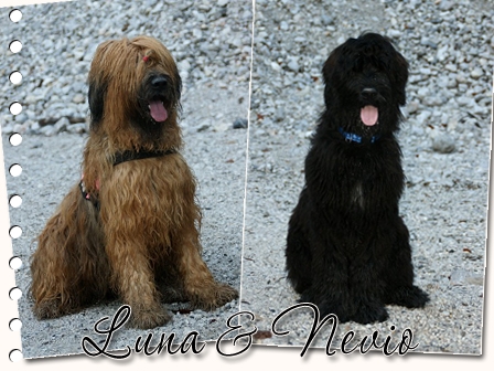 Luna und Nevio beim Leopoldsteinersee