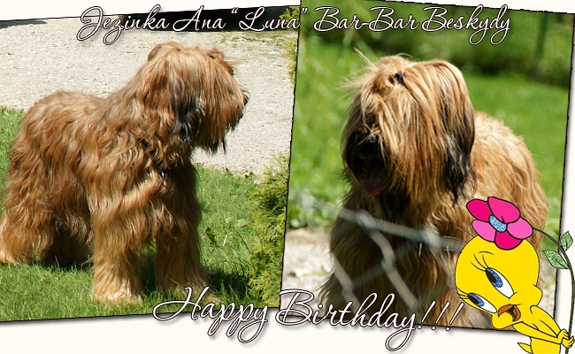 Happy 5th birthday, Luna!