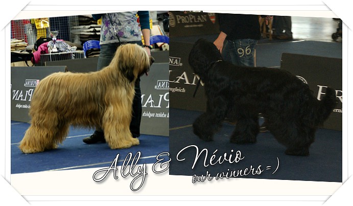 CACIB Wieselburg: Moonlight Black Bear Ally Mc Beal und E'Névio Noir de la Tour St-Genin CACIB Wieselburg: Moonlight Black Bear Ally Mc Beal und E'Névio Noir de la Tour St-Genin