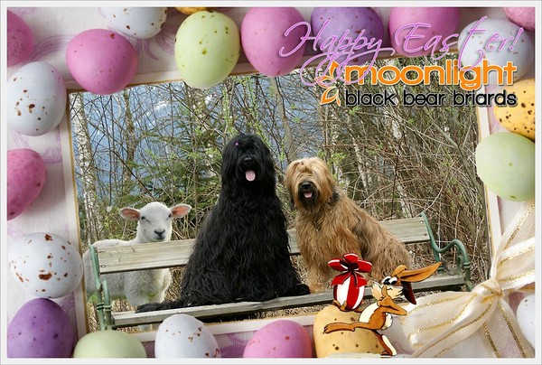 Frohe Ostern wünschen euch Karin und Roland mit Luna und Névio