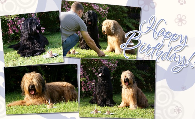 Alles Gute zum Geburtstag, Luna & Névio!