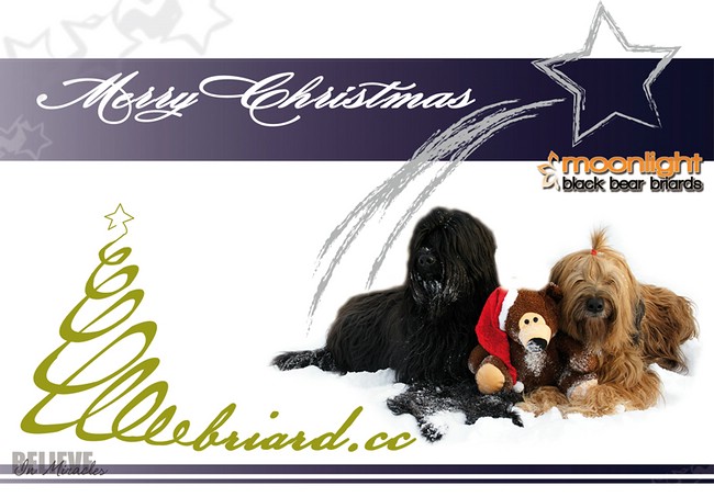 Merry Christmas and a Happy New Year!