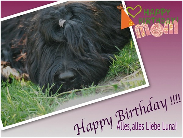 Geburtstagsgrüsse von Barry für Mama Luna!