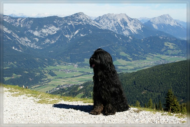 Névio auf der Planai - Bergstation