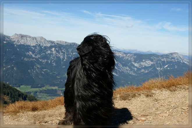Névio am Krahberzinken