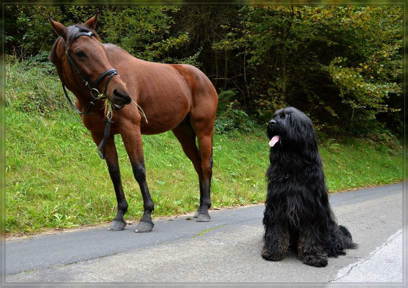 Névio & Diado