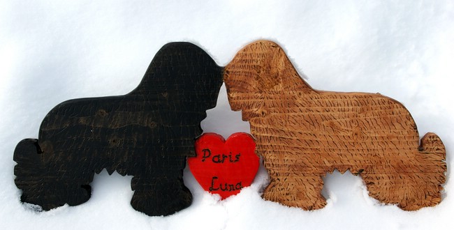 Luna und Paris - Danke, Tom!