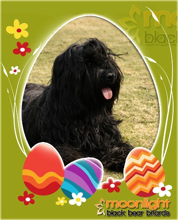 Frohe Ostern!