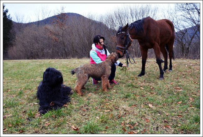 Névio, Thaïs & Diado