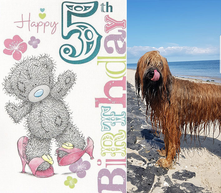 Alles Gute zum 5. Geburtstag unseren C's! 
