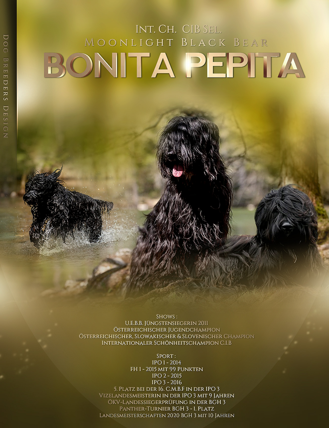 Moonlight Black Bear Bonita Pepita