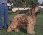 Gédéone del Bel Pastur