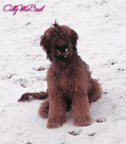 Ally McBeal und der 1. Schnee