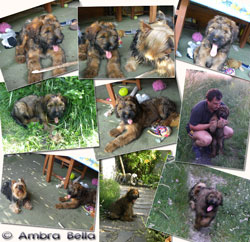 Ambra Bella im neuen zu Hause Ambra Bella im neuen zu Hause