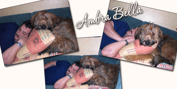 ambra_2009-02-02a
