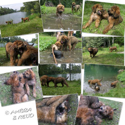 Ambra & AuRelio