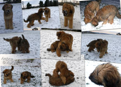 Ambra & Relio entdecken den Schnee