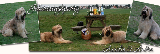 Let's party - Briard-Geburststagsparty!
