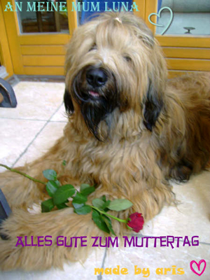 Aris schickt seiner Mama Grüße zum Muttertag