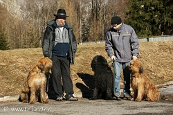 Aurelio mit seinem Herrli, Roland mit Paris und Luna