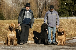 Briard-Ausflug zum Leopoldsteinersee