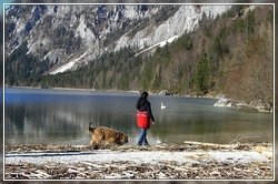 Der wunderschöne Leopoldsteinersee