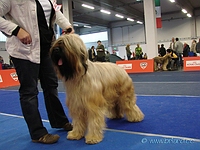 Usually the Best Moravia Campanella