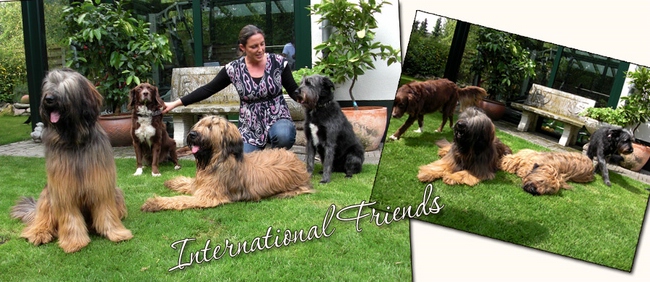 International Dog-Friendship :)