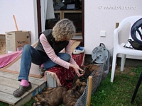 Susanne mit den Welpies