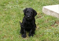 Miss Lila