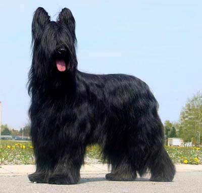 amalka 26 4 2003a
