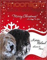 Frohe Weihnachten wünschen Karin, Roland und die Moonlight Black Bear Briards