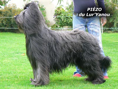 piezo du lur'yanou